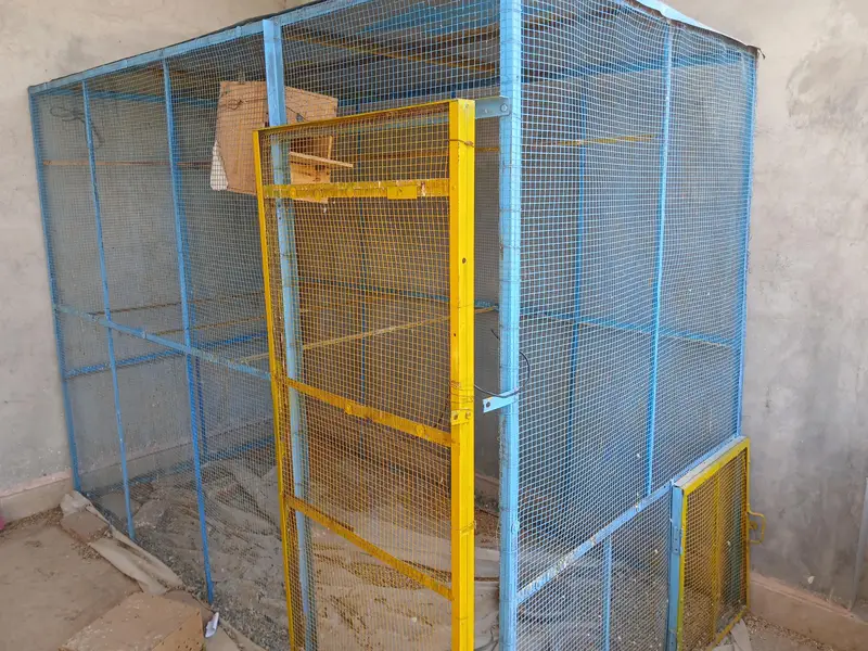Bird Cages Available for Sale — photo 4