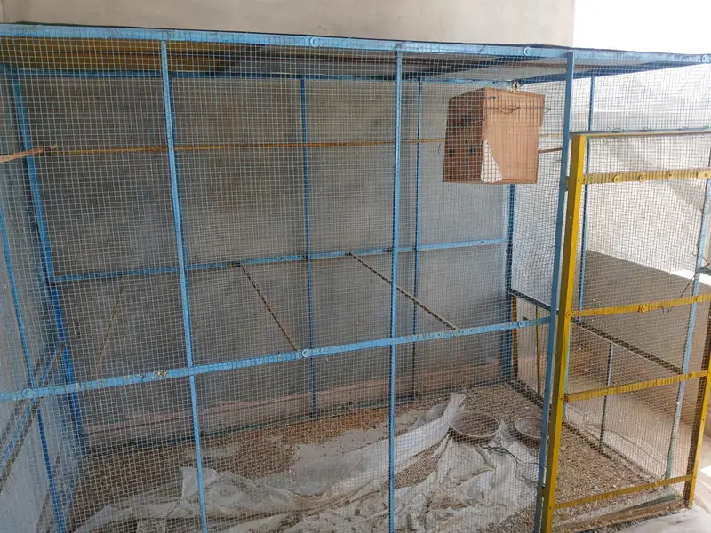Bird Cages Available for Sale — photo 5