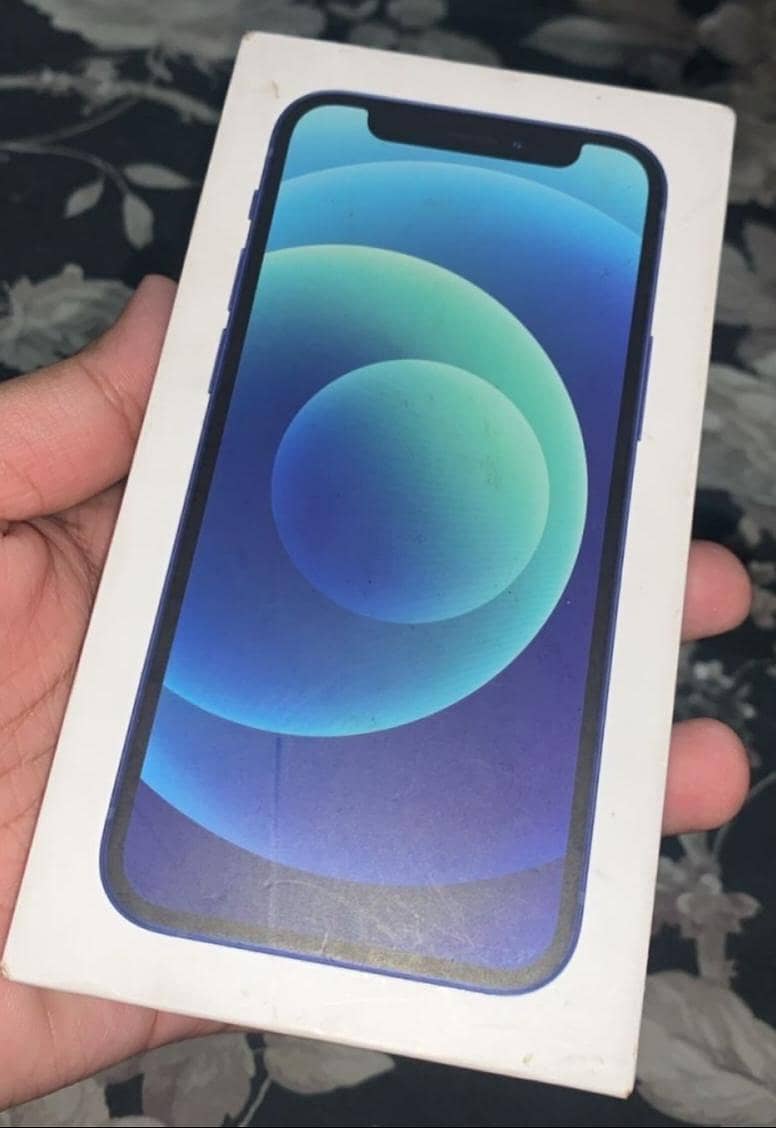 iphone 12 mini 1