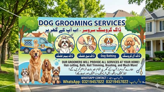 dog grooming and hair cutting cat cutting service at your doorstep