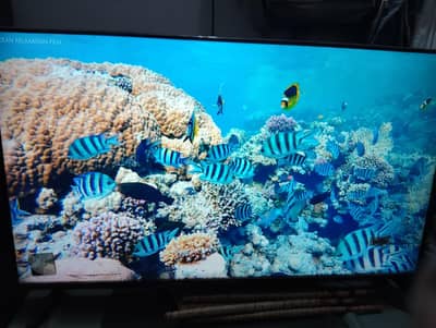 BRAND NEW LED LCD ANDROID K66 SERIES