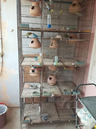 parrot cage
