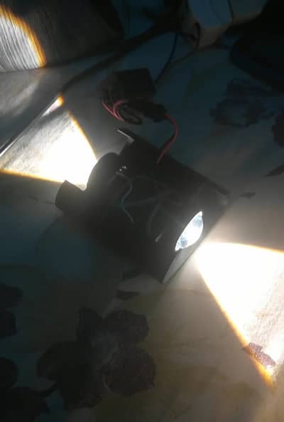 Led Wall Lights
