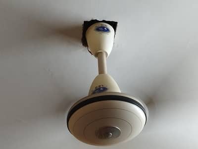 Pak Fan Sealed and New Conditions for Urgent Sale.