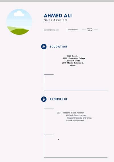 Professional CV Banwao - 500 Rs - Layyah - 1 Din Mein Ready