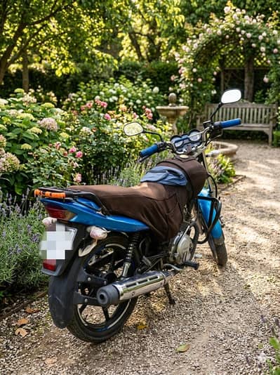 Yamaha YBR DXZ 2023