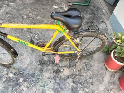 Phoenix Bicycle