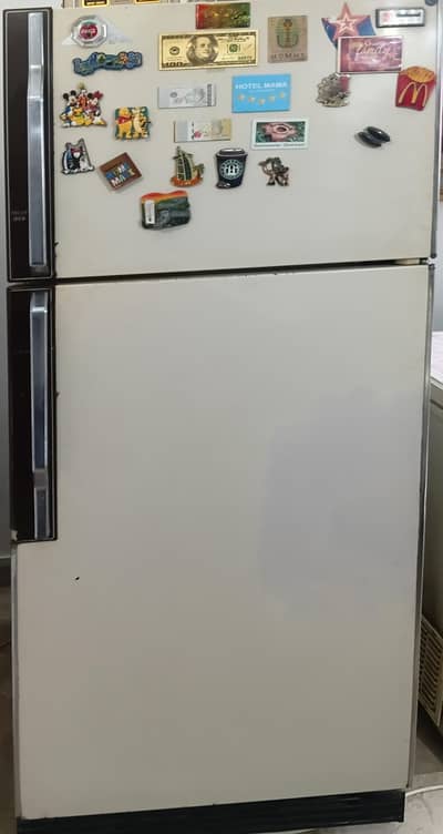 Refrigerator plus freezer
