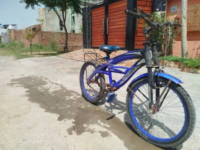 20Inch Frame Cruiser Bi cycle