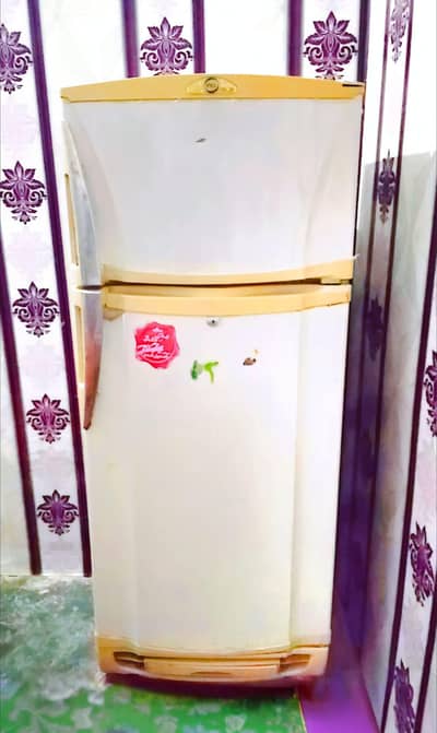 PEL  company fridge medium size for Sale