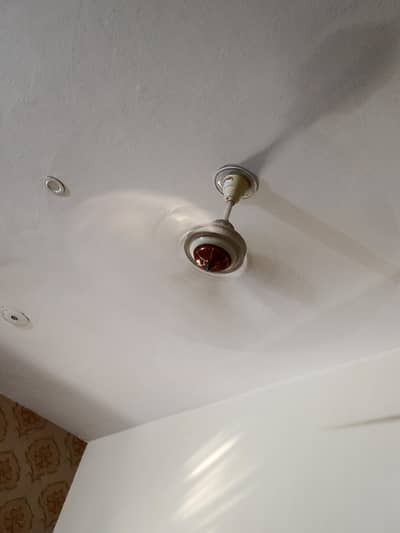 ceiling fan