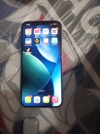 Apple iPhone 12 Pro Max