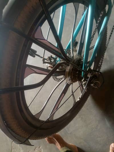 ccg bicycle 26"