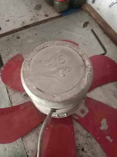 water cooler. fan