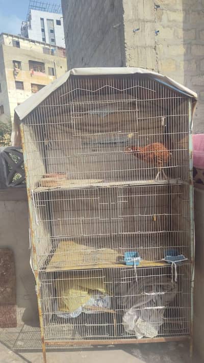pinjara ha saf ha 6 pasishan ha urgent sell