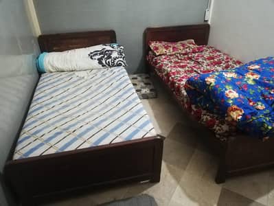 Signal Bed Pair