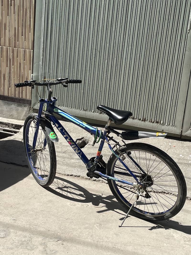 Cycle big size (03335948331) 5