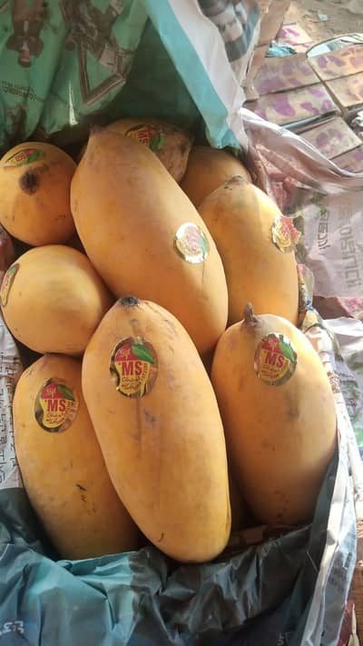 special Mangos