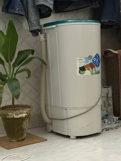 Haier HWS 60-50 Spinner Dryer