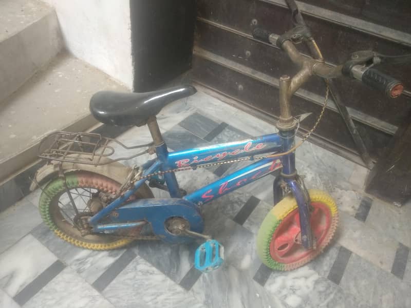 cycle size 12 0