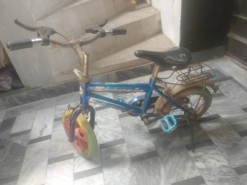cycle size 12 1
