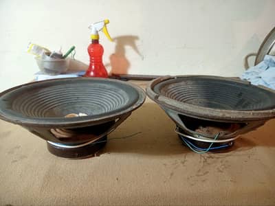 Speeker 10inch