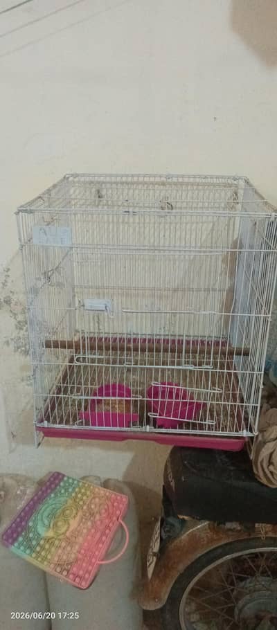 bird cage