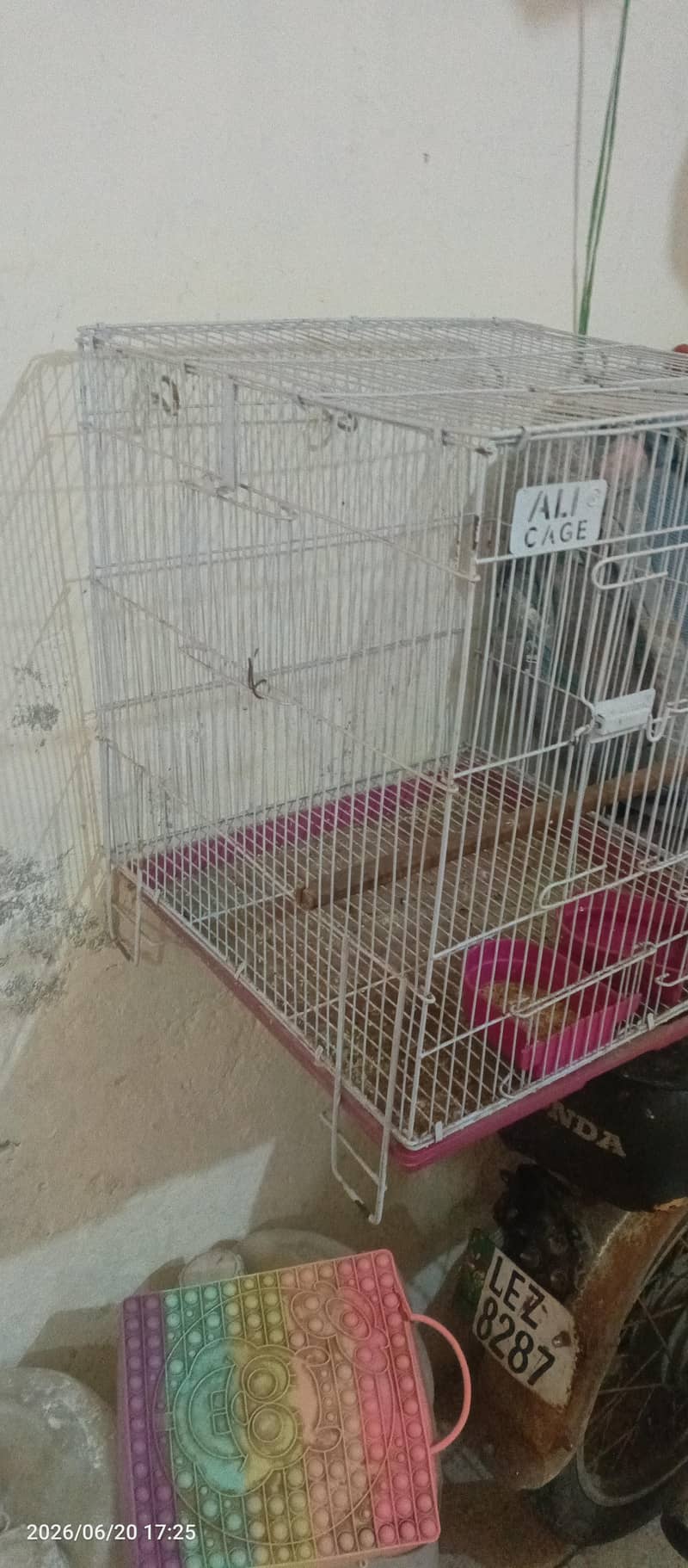 bird cage 1