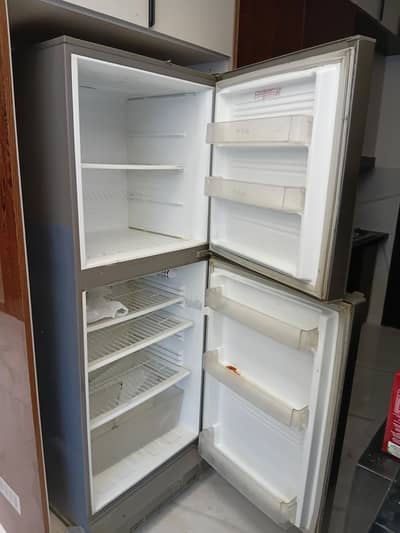 Pel Arctic 2 Door Fridge