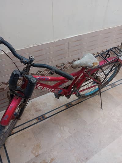 Sonic bicycle