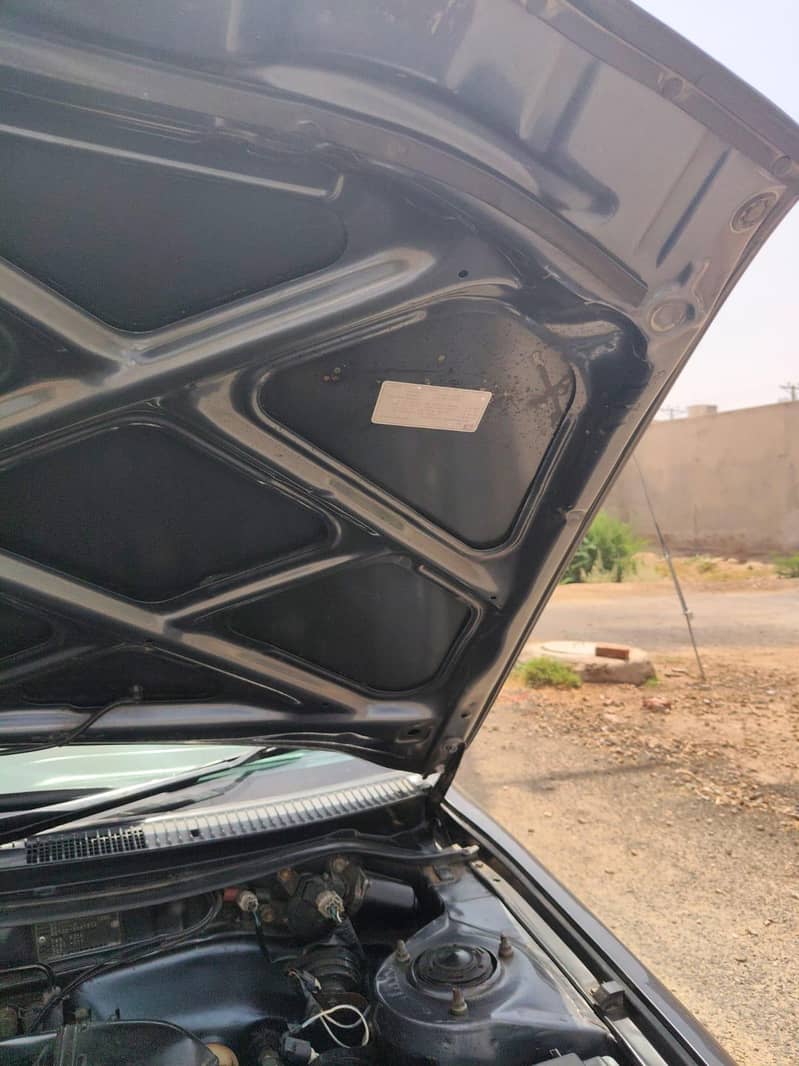 Indus Corolla 6