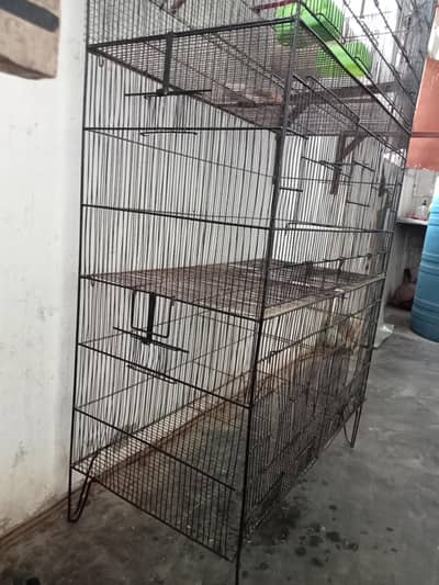 cage for seel