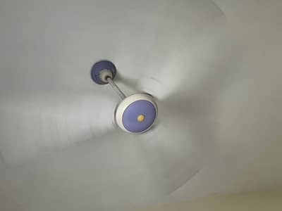 2 Ceiling Fans For sell