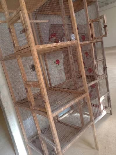 birds cage