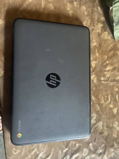 Hp chrome book with windows 10