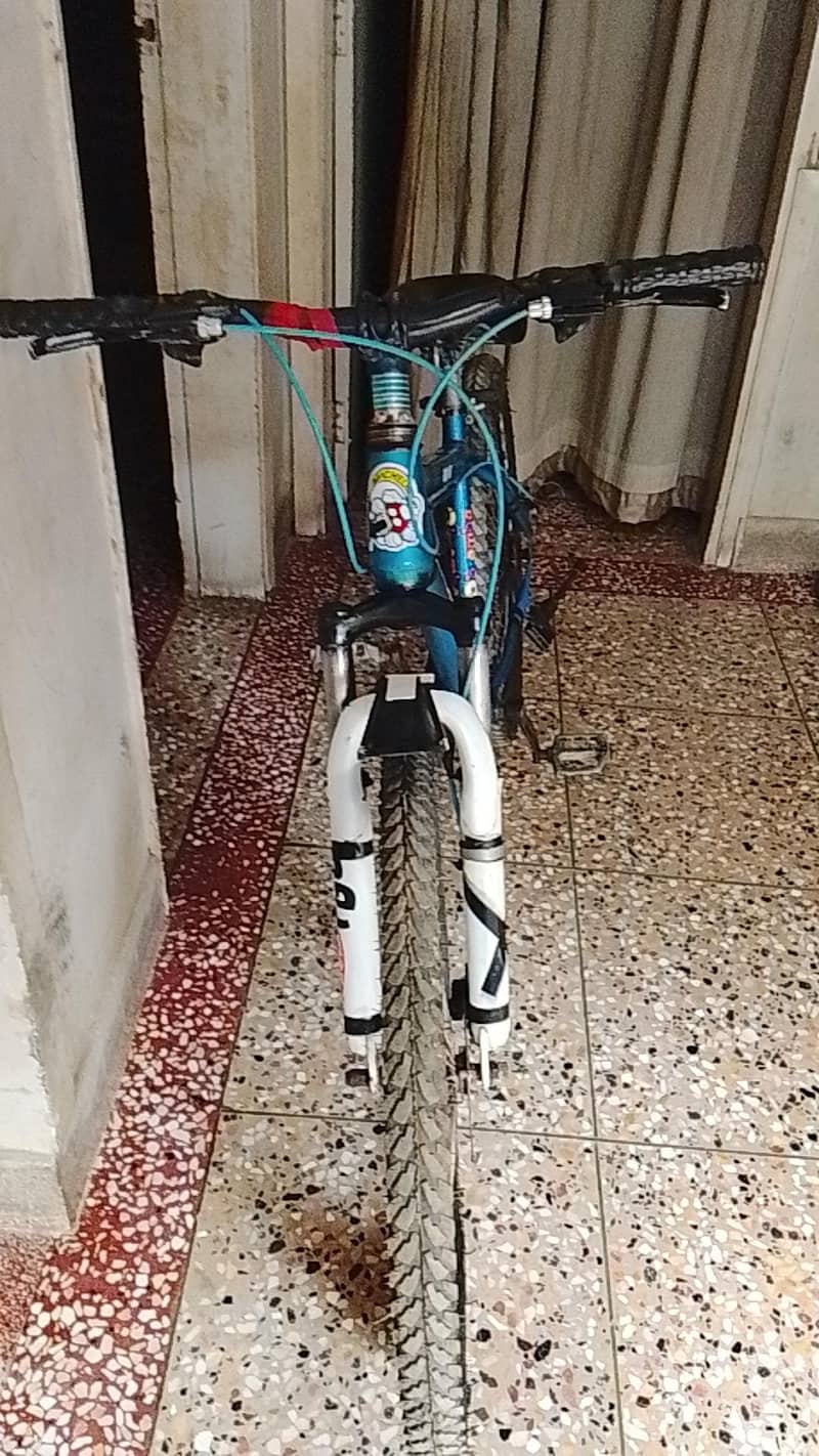 Mountain cycle 14