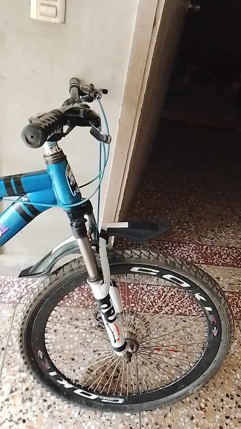 Mountain cycle 17