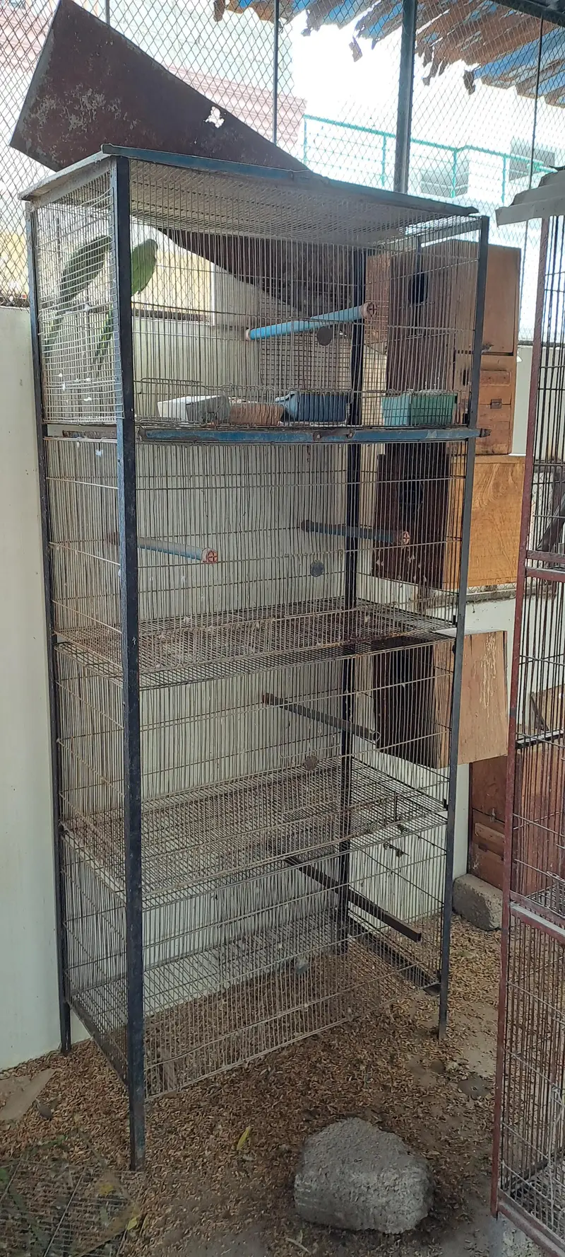 used cages — photo 3