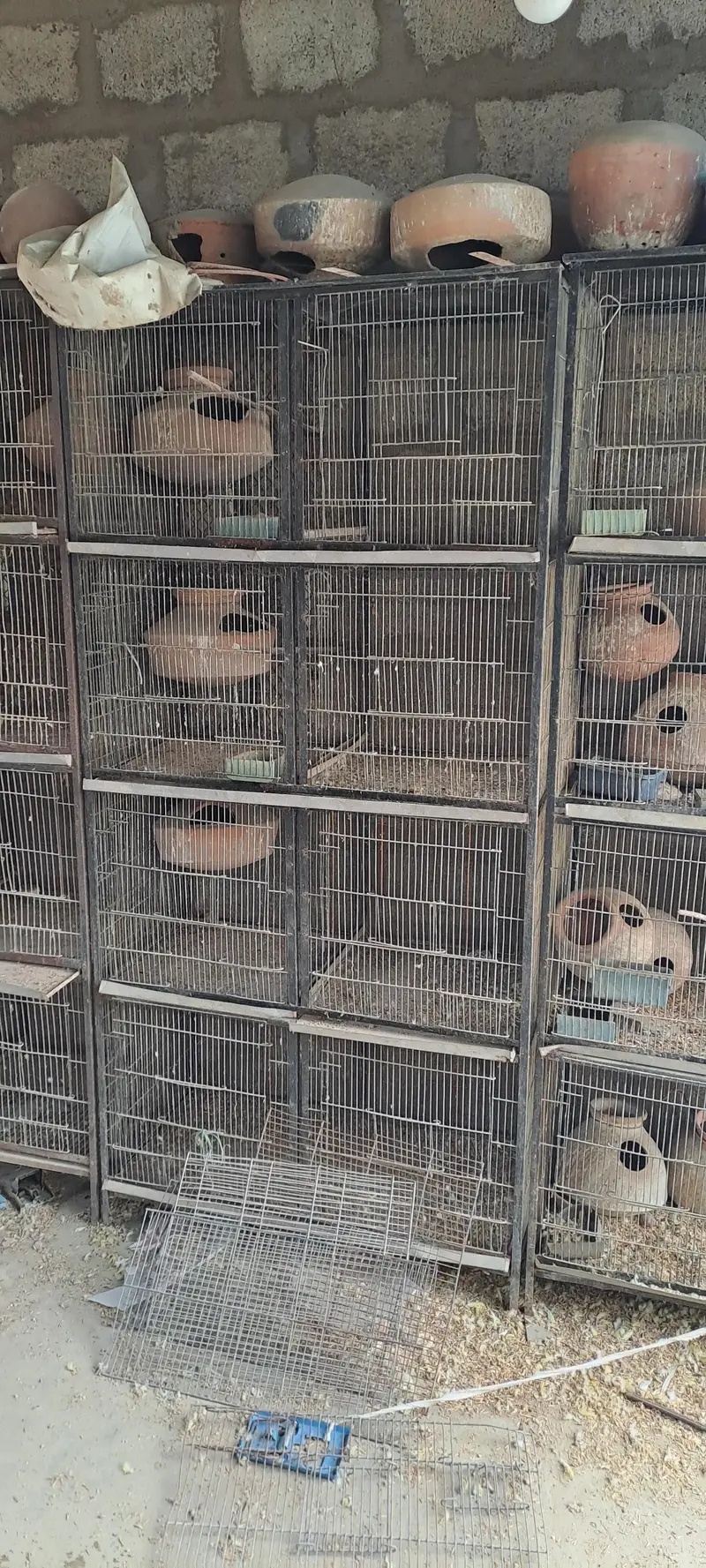 used cages — photo 5
