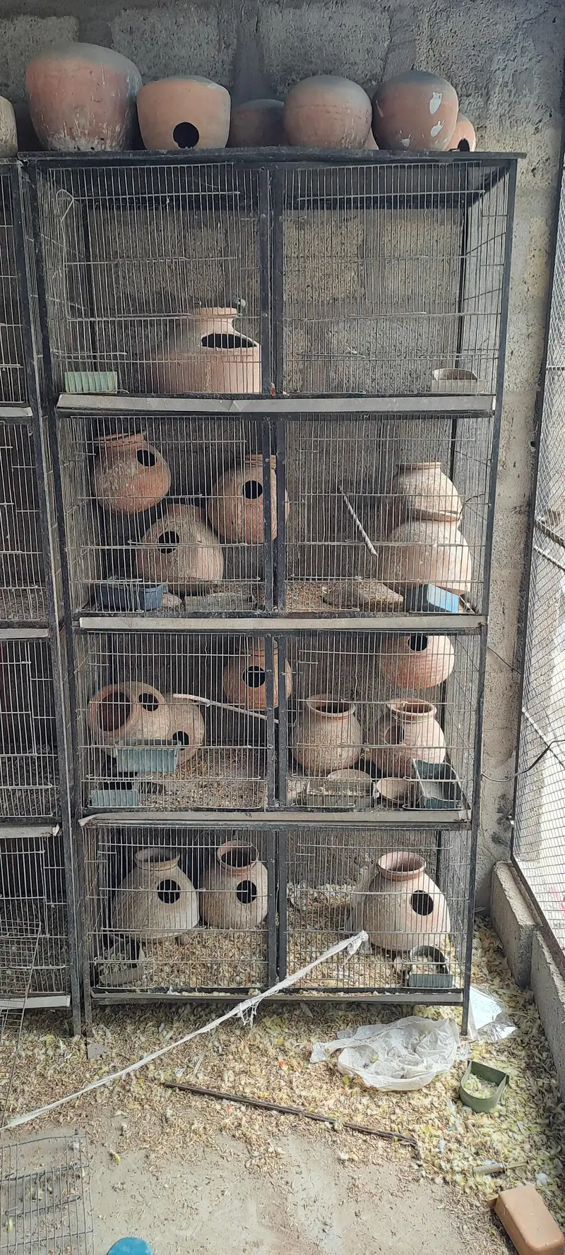 used cages — photo 6