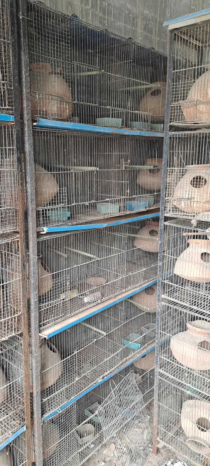 used cages — photo 7