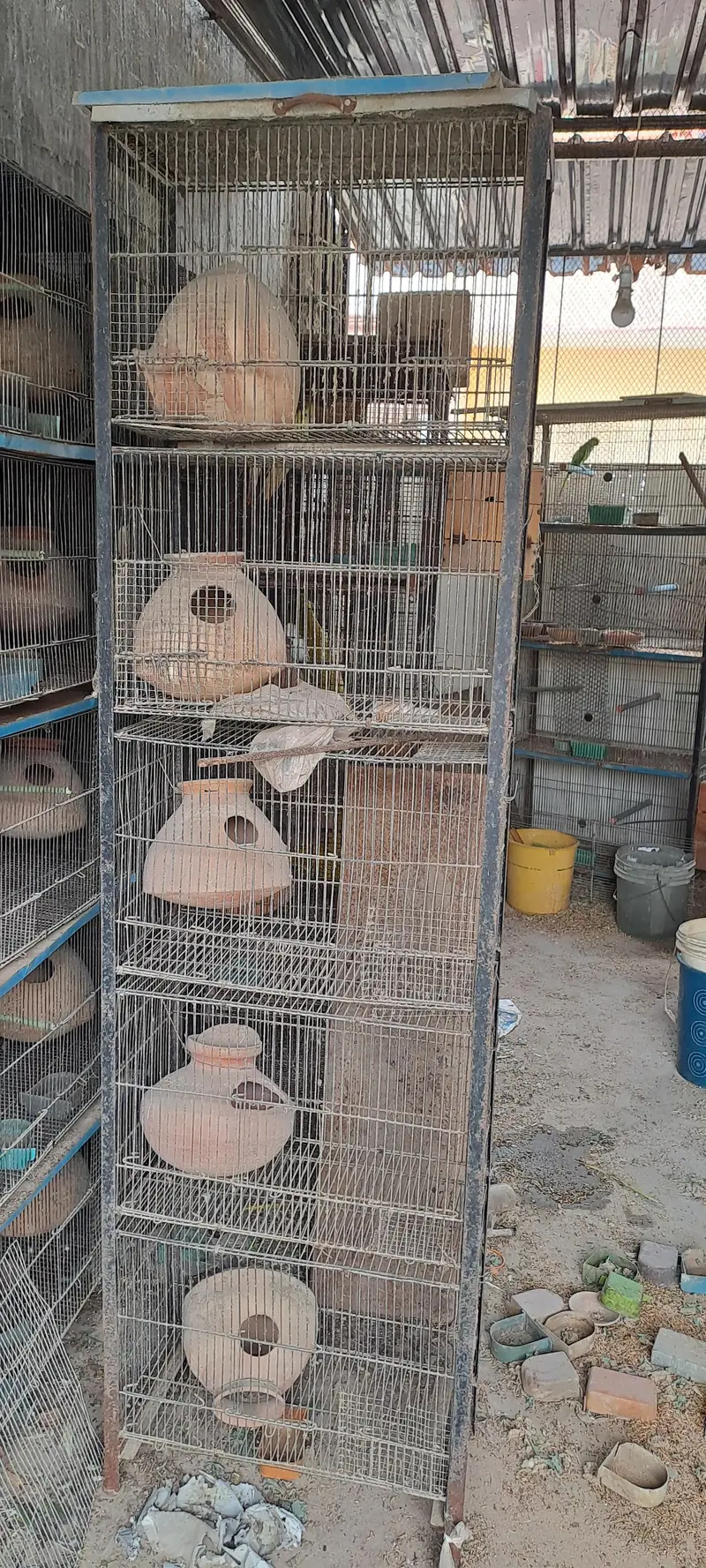 used cages — photo 8