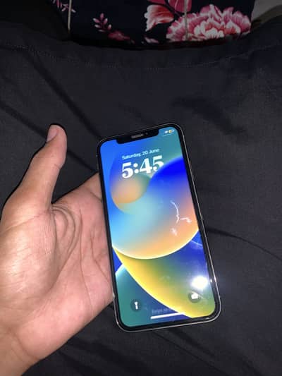 Apple iPhone X