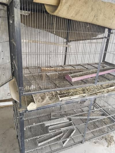 Cages