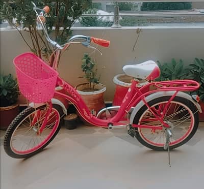 Cf Bike