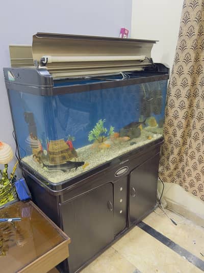 Complete Imported Aquarium Setup for Sale
