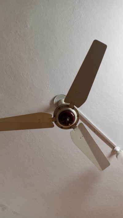 Royal ceiling fans (3pcs)