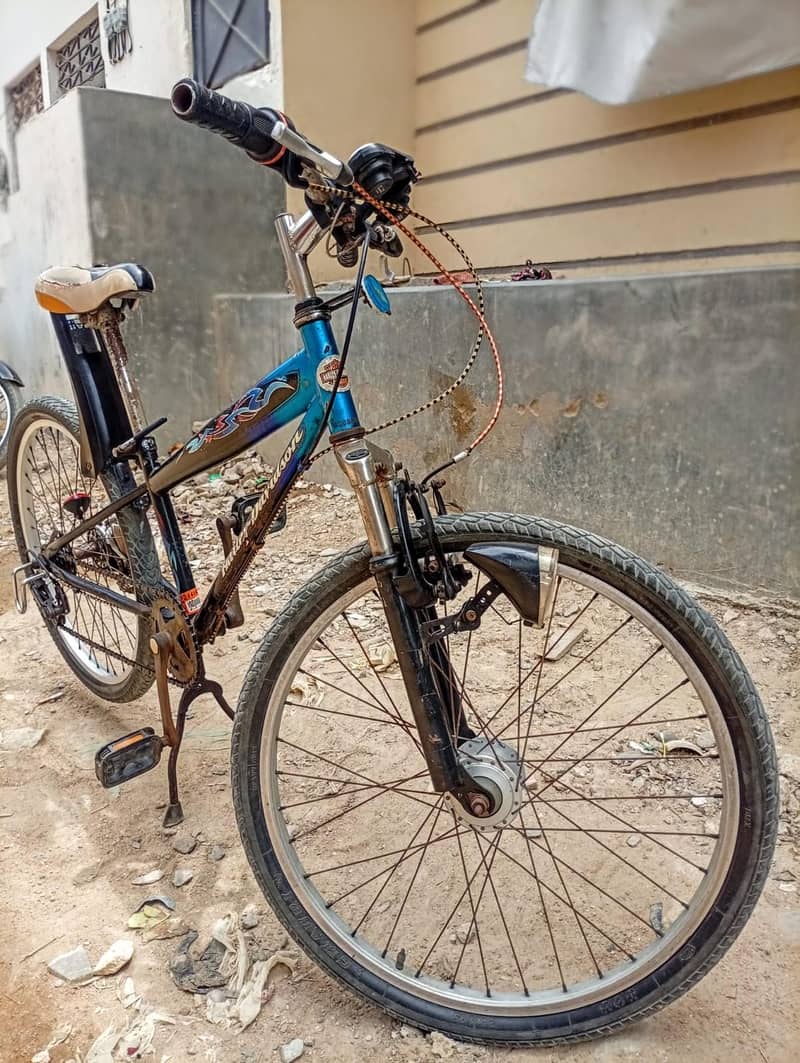 Bast cycle 0