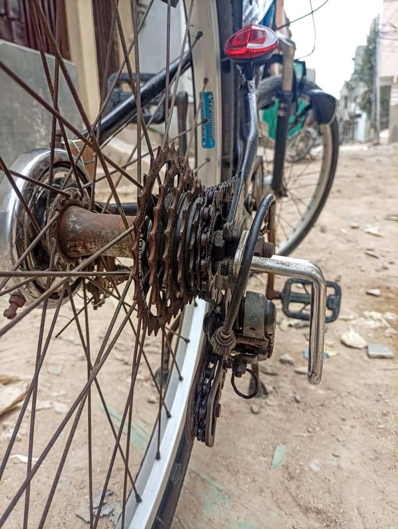 Bast cycle 5