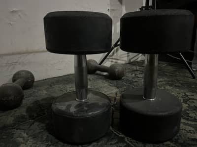 12 kg dumbbells